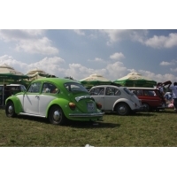 fot.Artek 109.jpg