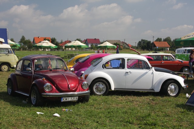 fot.Artek 114.jpg