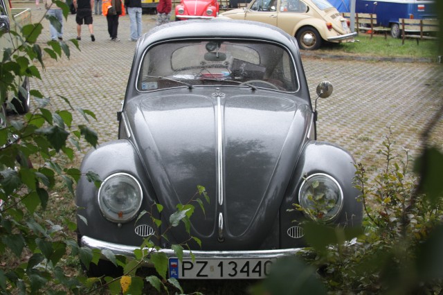 fot.Artek 071.jpg
