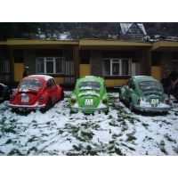 fot.Artek