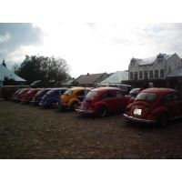 fot.Artek
