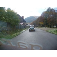 fot.Dominik