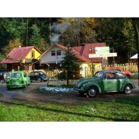 fot.Dominik