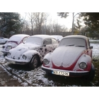 fot.Artek