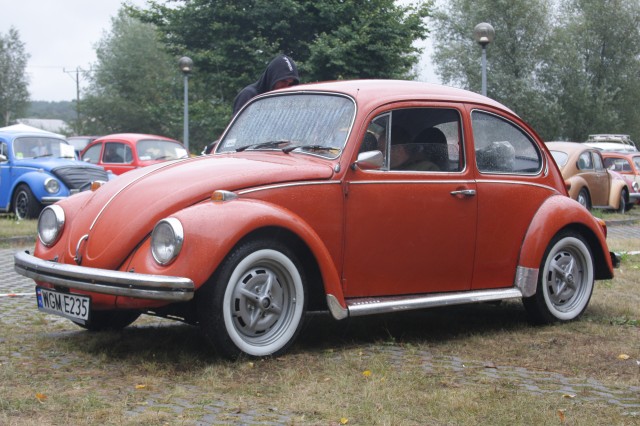 fot.Artek 123.jpg