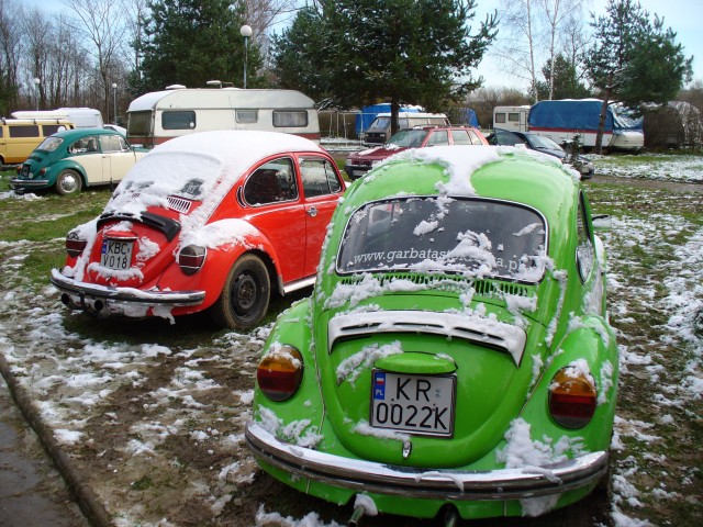 P1010508.jpg