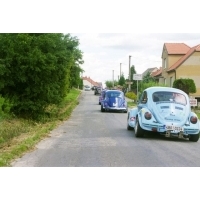 fot.Petr