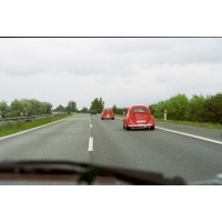 fot.Petr