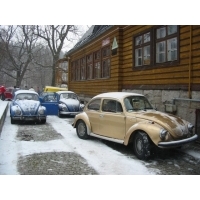 fot.Jurek
