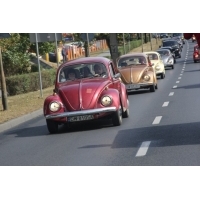 fot.Artek 210.jpg