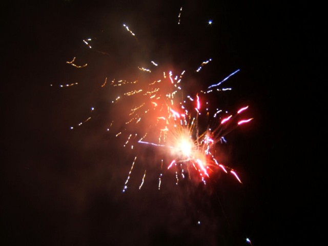 fot.Miniu