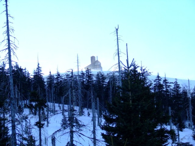 DSCF6781.jpg