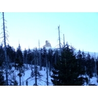DSCF6781.jpg