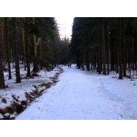 DSCF6828.jpg