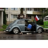 fot.Artek 313