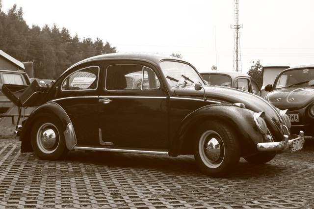 fot.Artek 333.jpg