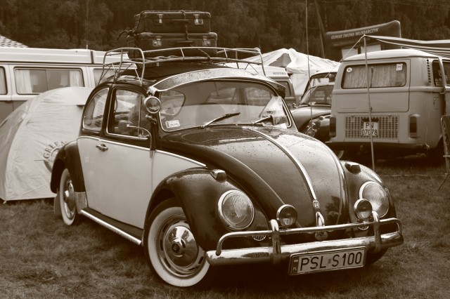 fot.Artek 335.jpg