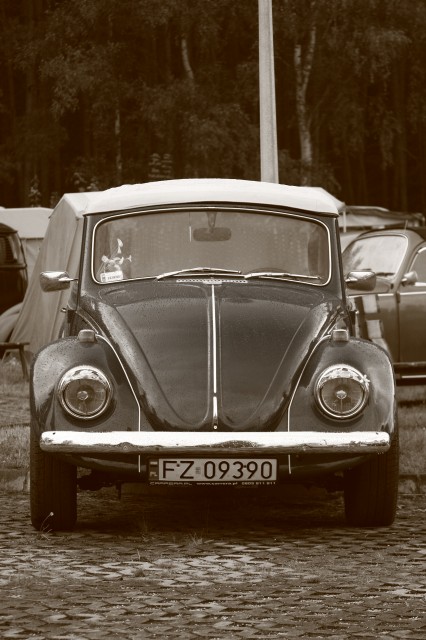 fot.Artek 338.jpg