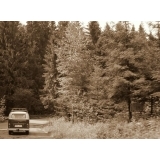 fot.Artek 023