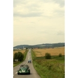 fot.Artek 099