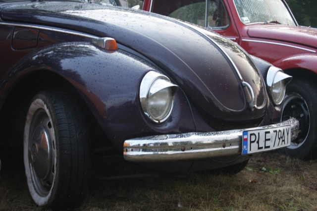 fot.Artek 364.jpg
