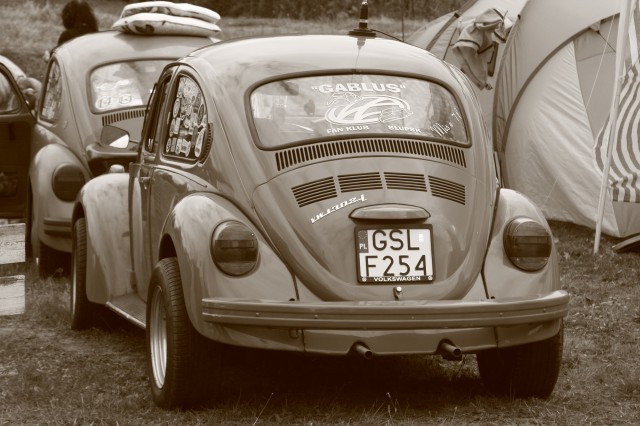 fot.Artek 366.jpg