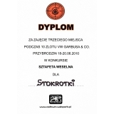 Dyplom dla "Stokrotek"