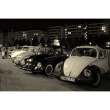 fot.Artek 015