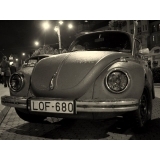 fot.Artek 030