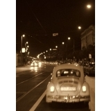 fot.Artek 052