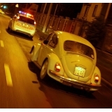 fot.Artek 058
