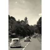 fot.Artek 061