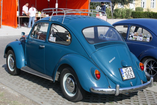 fot.Artek 142.jpg