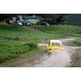 fot.Artek 300