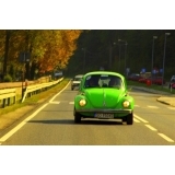 fot.Artek 025
