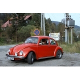 fot.Artek 095
