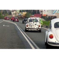fot.Artek 209