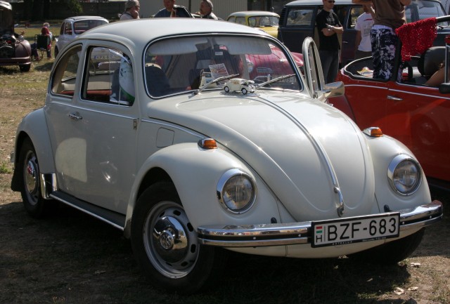 fot.Artek 216.jpg
