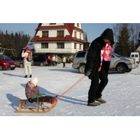 fot.Artek
