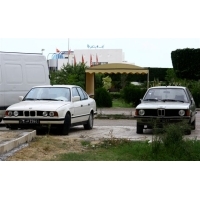 fot.Artek 556