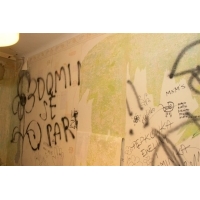 fot.Artek 139