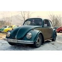 fot.Artek 065