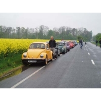 Foto v řepce 1