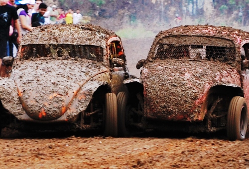 fusca_cross_andreoli_1_.jpg
