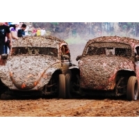 fusca_cross_andreoli_1_.jpg