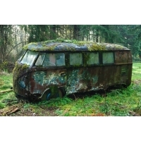 mossy-vw-bus.jpg