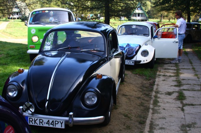fot.Artek 222.jpg