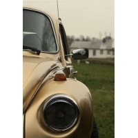canon 011.jpg