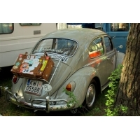 fot.Artek 220