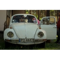 fot.Artek 283